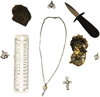 Pearl Party Complete Kit - 12 Unopened Akoya Oysters Each Containing A Cultured Pearl Inside 6mm-8mm ~ Pearl Party Kit ~ Oyster Party Kit ~ Oyster Shucking Party (12)