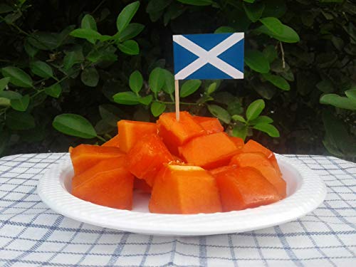Scotland Scottish Toothpick Garnish Flags by Nesha (100 pack) - Thumbnail 2