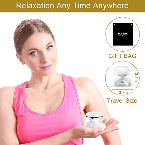 Massagers Handheld, Seneme Electric Portable Percussion Mini Full Body Massager for Hand Head Neck Back Legs Arms Foot Shoulder Pain Release with Gift Bag (Dual-use Operated)