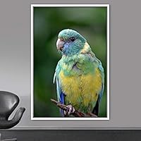 Framed Canvas Wall Art Single Bird Birds Expressive Farmhouse/Country Multicolor Photography Portrait Single - 16x24 inches