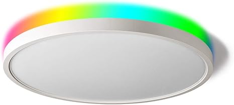 alexa ceiling light