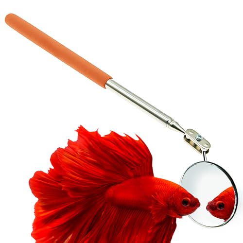 JOR Floating Betta Training Mirror