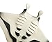 Safari Ltd. Manta Ray Figurine - Lifelike 7