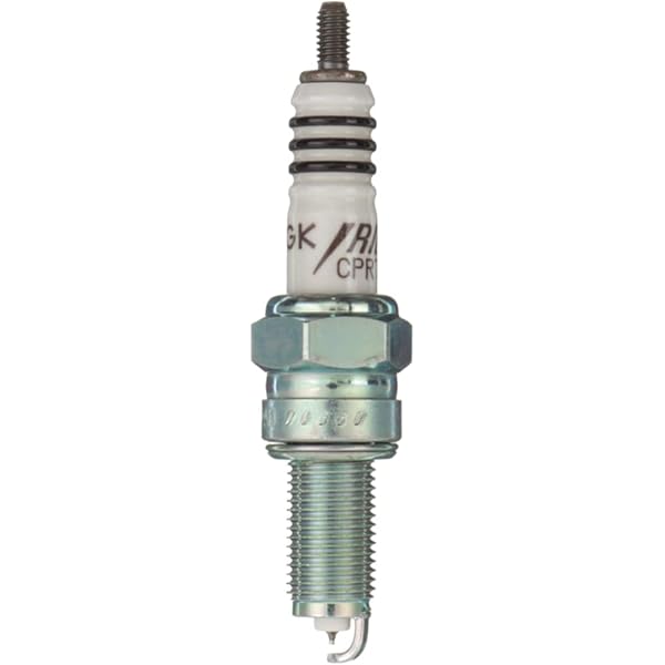 41JGAvb8X8L._AC_UL600_SR600,