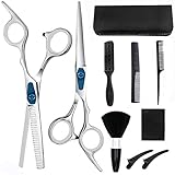 10Pcs Hair Cutting Scissors Set Astraet