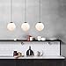 Light Society Zeno Globe Pendant, Frost White with Black Finish, Contemporary Mid Century Modern Style Lighting Fixture (LS-C175-BK-WH)