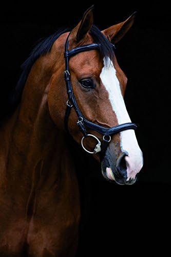 Micklem Deluxe Competiton Bridle English Leather