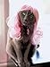 Glamourpuss: The Enchanting World of Kitty Wigs