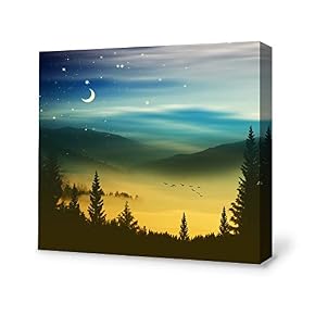 SIGNFORD Canvas Wall Art for Living Room,Bedroom Home...