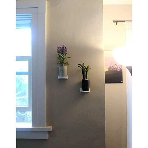 White Plexiglass Wall Stand, Stick On, Single Shelf No Nails or Screws