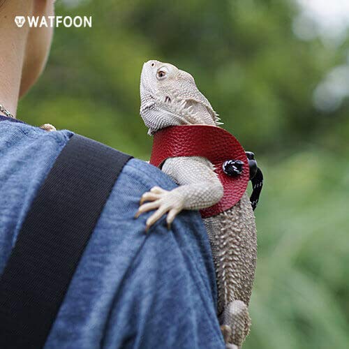 WATFOON Adjustable Bearded Dragon Harness Leash Pet-Friendly Leather Collar, 3 Pack (Different Size S, M, L) Reptile Lizard Leash for Reptiles Amphibians and Small Pet Animals, 5 Color Option (Red)