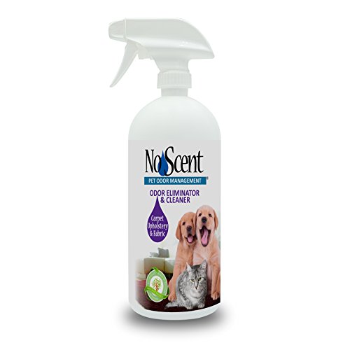 No Scent Carpet Upholstery & Fabric Professional Pet Urine Feces Odor Eliminator & Cleaner