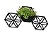 Floral Star Triple Hexagon Indoor/Outdoor Wall Planterthumb 2