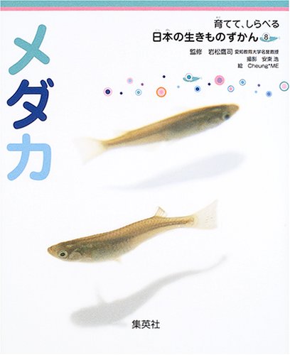 しらべる 日本の生きものずかん 8 メダカ 育てて