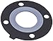 Asahi America Low Torque AV Gasket, PTFE-Bonded EPDM, Full Face, 1