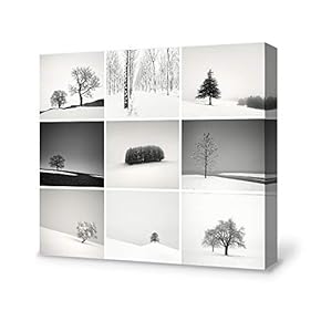 Winter Snow Landscape Painting Wall Poster Decor for...