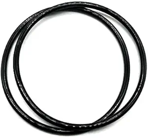 357255 Lid O-Ring for Replacement Pentek Pentair Optiflow Pool/Spa Pump (2/pack)