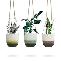 3pk Ceramic Hanging Planter for Indoor Plants | Colorful Round Pots | Air Succulent Holder Container | Cactus Pot with Cotton Rope Hanger | Outdoor Decor | 23 Bees (3, Nature