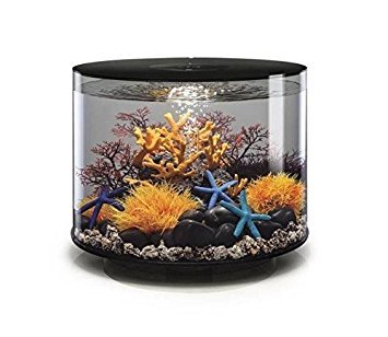 biOrb Tube 35 Aquarium with LED – 9.2 Gallon, Black