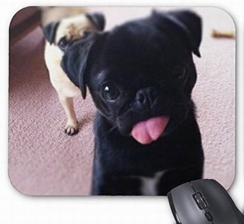 Black Pug Puppy Make Faces in the Mirror UCFO Customized Mouse Pad Rectangle Mouse Pad Gaming Mouse mat in 240mm*200mm*3mm NE07100215