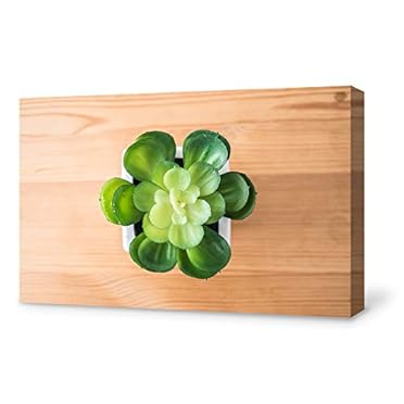 Marvelous Design Green Plant Succu Canvas Art Wall26