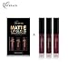 WensLTD 3PCS/Set Waterproof Matte Liquid Lipstick Cosmetic Sexy Lip Gloss Kit (A)