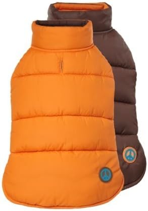 my puppy threw up yellow bile