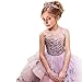 CQDY Flower Girl Lace Dress Embroidery Pageant Wedding Birthday Party Prom Puffy Tulle Ball Gown (Cameo Brown, 4-5y)