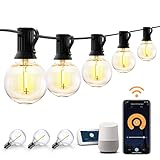 XMCOSY+ Outdoor String Lights, Smart Patio Lights