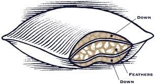 Hotel Pillow Double Down Surround - As Seen in Many 5 Star Hotels and Resorts. (Standard)