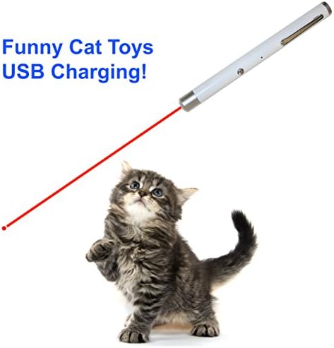 Cat Laser Toys - Crazy Cat Chase Toys - Interactive LED Light Pet Toys - Laser Light Training Tools - USB Charger