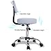 Rolling Stool Chair Adjustable Swivel Office Desk Chair with Back and Wheels for Office,Home,Shop,Spa in Grey