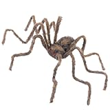 SPIDER AST HLWN 50
