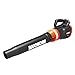 WORX WG546.9 TURBINE 20V PowerShare 2-Speed Cordless Battery-Powered Leaf Blower (Tool Only)