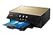 Canon Office Products TS9120 Wireless All-In-One Printer with Scanner and Copier: Mobile and Tablet Printing, with Airprint(TM) and Google Cloud Print compatible, Gold, Works with Alexa