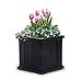 Mayne Cape Cod 14-Inch Square Planter – Self-Watering, Weather-Resistant Planter for Flowers – Durable Outdoor Design for Patio, Porch, or Entryway