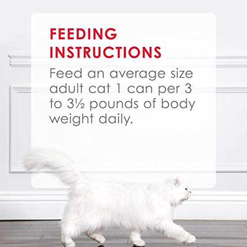 Fancy Feast Beef & Chicken Pate Cat Food - Image 10