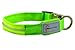 Pet Industries Metal Buckle LED Dog Collar, USB Rechargeable, Available in 7 Colors & 4 Sizes (Large [18.5-23.5