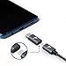 RAMPOW Micro USB to USB C Adapters [2-Pack, 5V/2.4A] - USB Type C Adapter - USB C Male to Micro USB Female Converter for MacBook Pro/Air, Samsung Galaxy S8/S9/S10/S20, LG, Moto - Space Gray