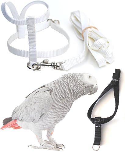 Fred Bird Harness &amp; Leash Plus Extra LARGER Head Loop for EASIER TRAINING for Yellow Naped Amazons, Galah Cockatoo, Congo African Greys, Eclectus, Lesser Sulpher Crested Cockatoos