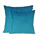 Shinnwa Velvet Super Soft Decorative Throw Pillow Case Solid Twin Side Cushion Covers for Bench, 18