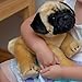 Nat and Jules Standing Large Pug Dog Children's Plush Stuffed Animal Toy