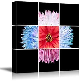 Wall26-Canvas Wall Art-Black Background Flower Theme for Living Room-Giclee Painting Wall Bedroom Living House Decoration Home Art - 12x12 inches