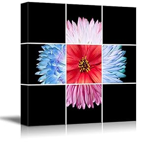 Black Background Flower Theme for Living Room Painting...