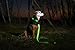 Illumiseen LED Dog Collar USB Rechargeable - Bright & High Visibility Lighted Glow Collar for Pet Night Walking - Weatherproof, in 6 Colors & 6 Sizes (Green X-Large)