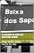 Livro A vendedora da Baixa dos Sapateiros (conto): Conto (Baianos de todos os santos Livro 1)