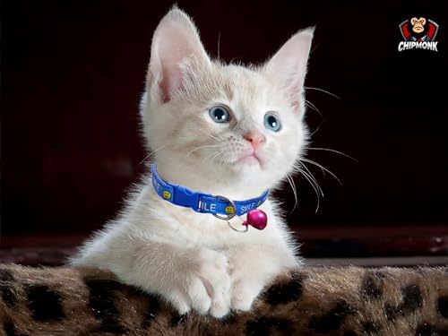 Chipmonk Cat & Puppy Collars with Bell,Kitten & Small Dogs Soft Adjustable,Safe,Solid & Protective Breakaway for Cats & Puppies,Cute Kitty Neckband with Smile Collars Print-(Pink,Black,Dark Blue) 4