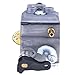 Hilitchi Quality New Carburetor Carb