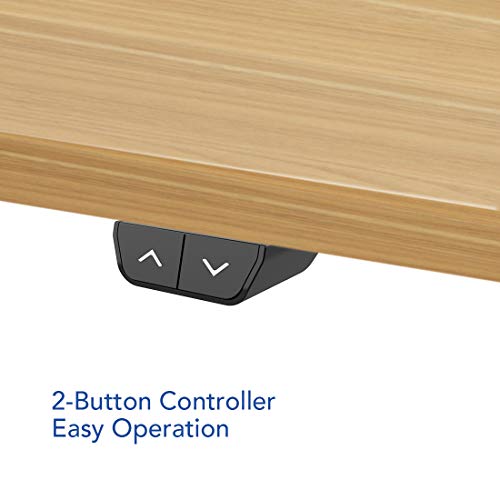 FLEXISPOT EC1 Essential Electric Height Adjustable Standing Desk Heavy Duty Steel Stand Up Desk