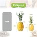 AIEVE Air Plant Holder, 3 Pack Air Plant Hanger Air Plant Stand Pineapple Planter Tillandsia Holder Tabletop Display Geometric Planter with Magnet for Hanging Air Plants Indoor Wall Decor, Large